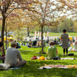 Hanami-juhla Roihuvuoren kirsikkapuistossa, kuva Emilia Pippola.