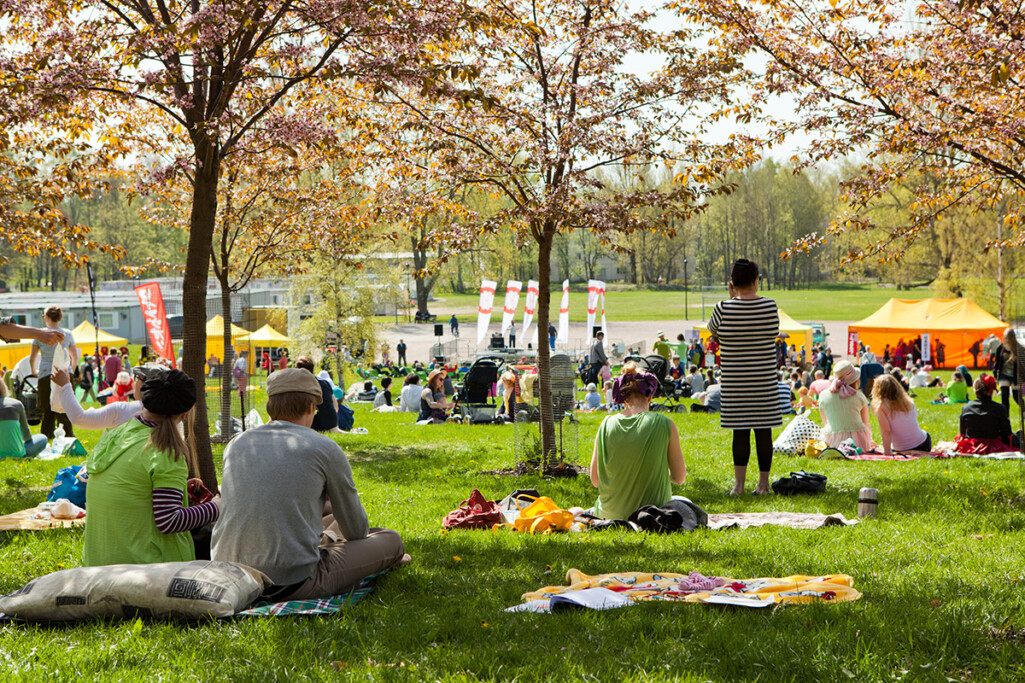 Hanami-juhla Roihuvuoren kirsikkapuistossa, kuva Emilia Pippola.